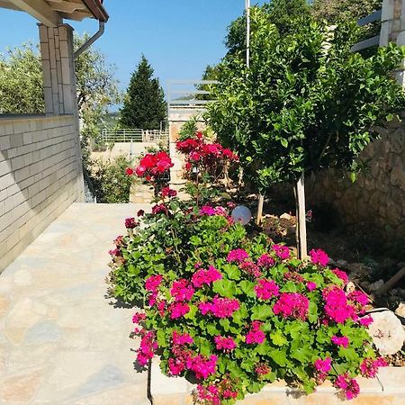 شقة Vila Milo Vuno المظهر الخارجي الصورة