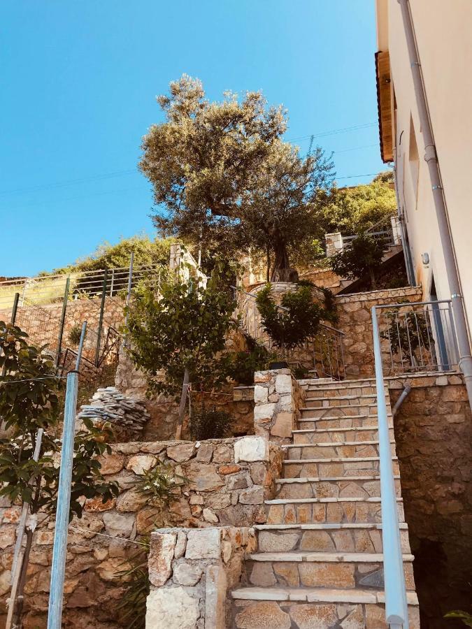 شقة Vila Milo Vuno المظهر الخارجي الصورة